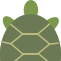 Show Turtle